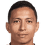 M. Ferreira dos Santos