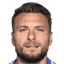 C. Immobile